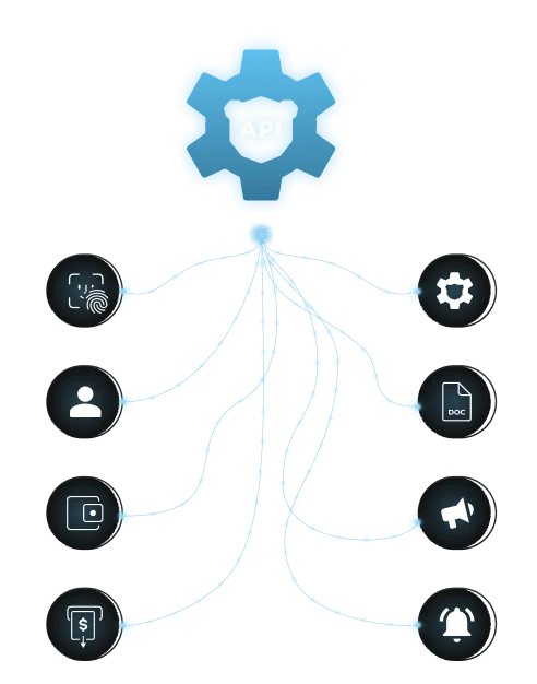 API-Enabled CRM