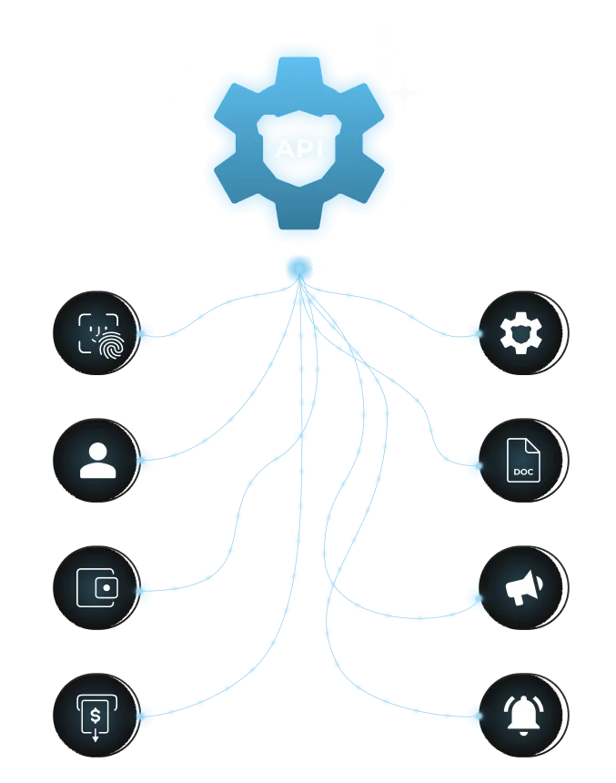 API-Enabled CRM
