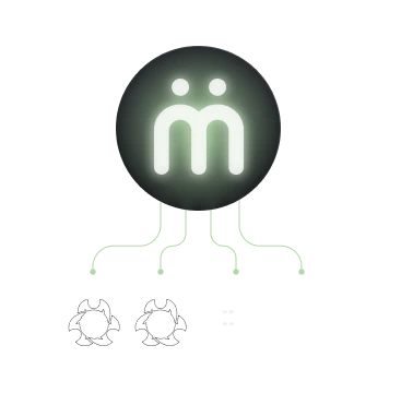 Multi-Server Compatibility