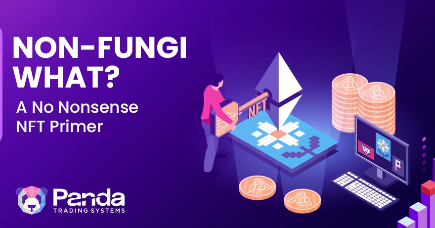 Non-Fungi-What? A No Nonsense NFT Primer